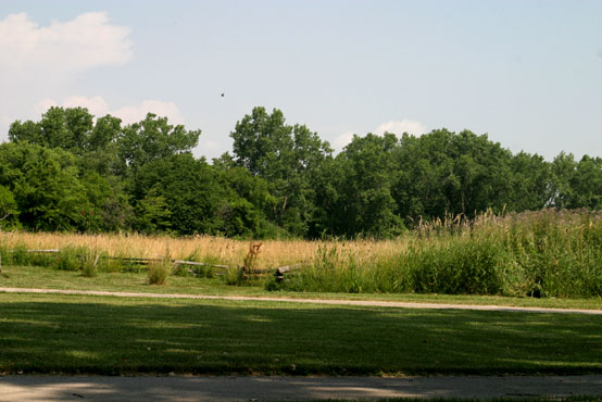 river-raisin-battlefield