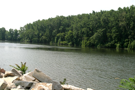 raisin-battlefield-monroe