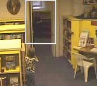 willard-library-evansville